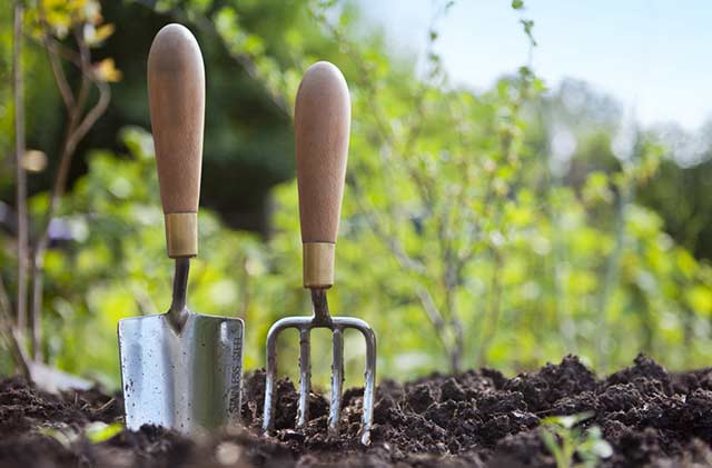 Des jardiniers se déplacent pour assurer des services tonte gazon à domicile