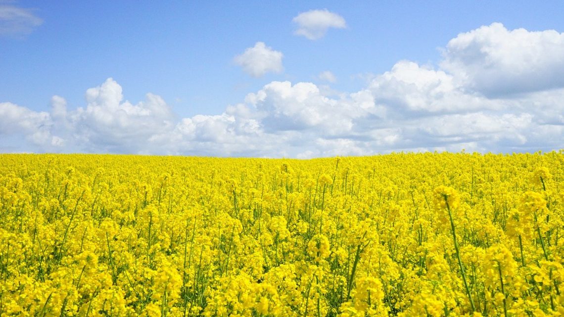 Trouver du matériel agricole perfectionné