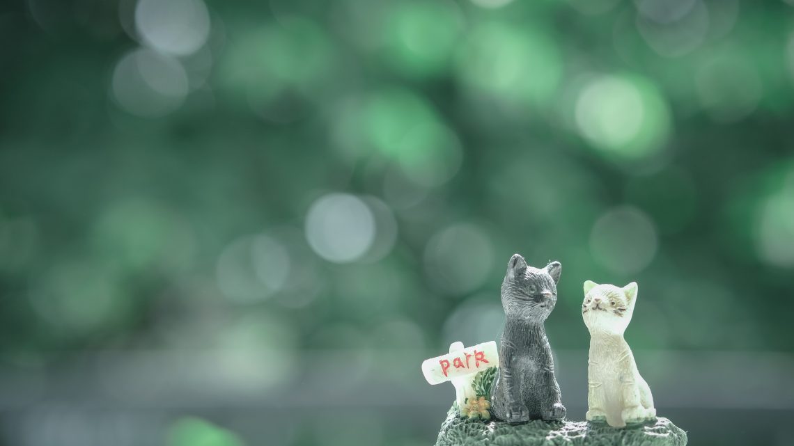 Collection de figurine de chats : 3 types pour débuter !
